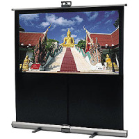 Da-Lite 80" Theater-Lite HDTV Screen 