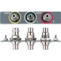 Extron 70-109-73 SINGLE SPACE AAP - BLACK: ONE RCA FEMALE TO BNC FEMALE