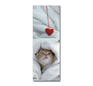 Heolis Kitten Bookmark