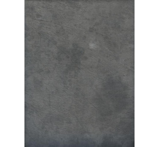 Promaster 10' x 20' Lt. Gray Background Patterned Muslin Studio Backdrop