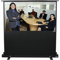 Vutec EVPVP4864 80" Porta-VU Traveller (Viewing Area 48"x64")