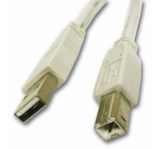 Cables To Go USB Cable