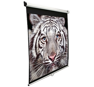 Elite Screens Manual Pull Down Projection Screen