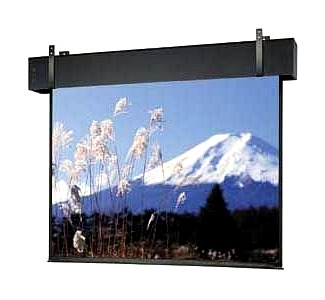 Da-Lite Professional Electrol Projection Screen