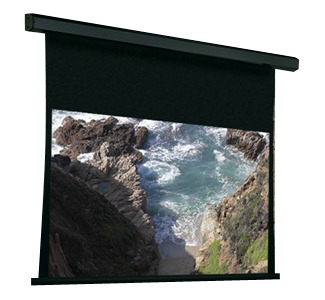 Draper Premier Projection Screen