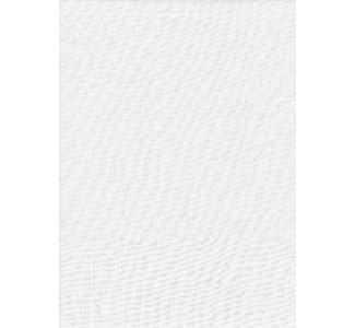 Promaster Solid Studio Backdrop 10'x12' - White 