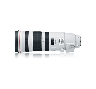 Canon 200 mm - 400 mm f/4 Super Telephoto Lens for Canon EF/EF-S