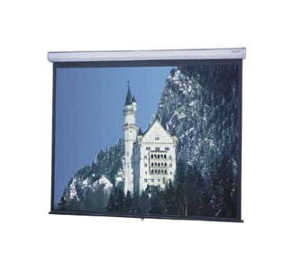 Da-Lite Model C Projection Screen