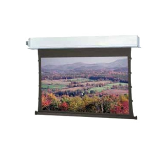 Da-Lite Advantage Electrol Projection Screen