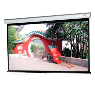 Da-Lite Model C Projection Screen