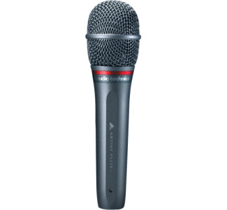 Audio Technica AE6100 Hypercardioid dynamic handheld microphone