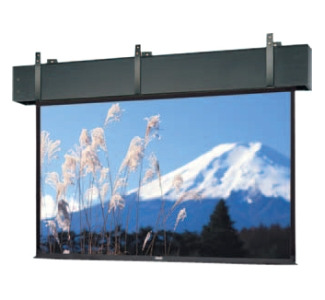 Da-Lite Professional Electrol Projection Screen