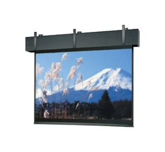 Da-Lite Professional Electro Projection Screen