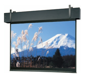 Da-Lite Professional Electrol Projection Screen