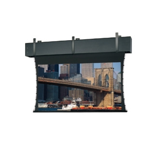 Da-Lite Tensioned Professional Electrol 99897 Projection Screen