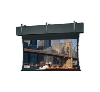 Da-Lite Tensioned Professional Electrol Projection Screen