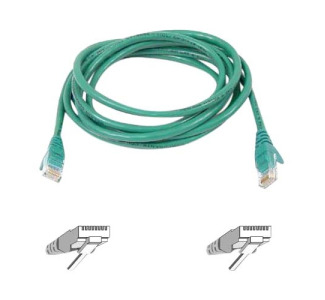 Belkin Cat6 Patch Cable