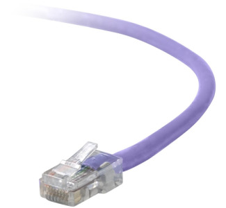 Belkin Cat5e Patch Cable - Purple - 10 ft