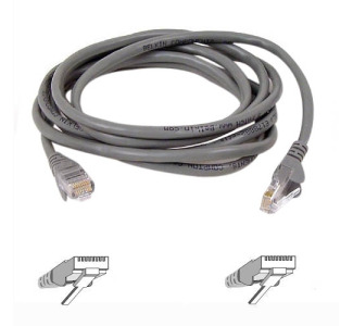 Belkin Cat6 UTP Patch Cable