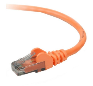 Belkin Cat.6 Patch Cable