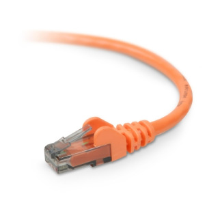 Belkin Cat. 6 UTP Patch Cable