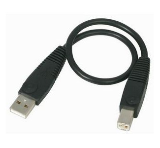 StarTech.com 1 ft USB 2.0 A to B Cable - M/M