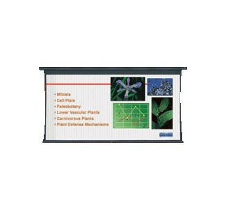 Da-Lite Tensioned Large Cosmopolitan Electrol Projection Screen