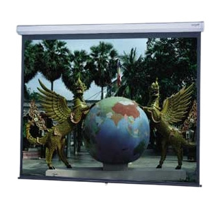 Da-Lite Model C Projection Screen