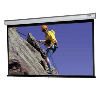 Da-Lite Model C Projection Screen