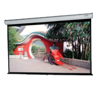 Da-Lite Model C Projection Screen