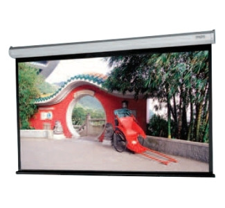 Da-Lite Model C Projection Screen