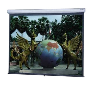 Da-Lite Model C Projection Screen