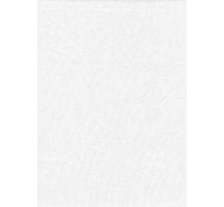 Promaster Solid Backdrop - 6'' x 10'' - White