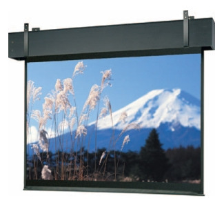 Da-Lite Professional 99780E Electric Projection Screen - 243