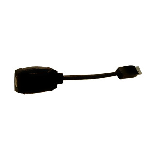 DisplayPort Male To HDMI Female Active 8 Inch Cable