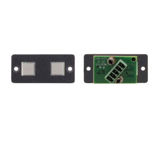 Wall Plate Insert - 2Button Contact Closure Switch