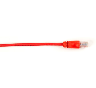 CAT6 250-MHz Molded Snagless Patch Cable UTP CM PVC RD 3FT