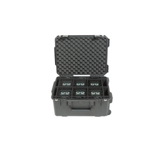 iSeries Chauvet Freedom Par DJ Case