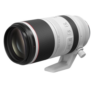RF100-500mm F4.5-7.1 L IS USM Super Telephoto Zoom Lens