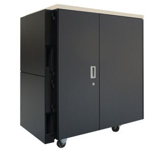 APC by Schneider Electric NetShelter CX 24U Secure Soundproof Server Room in a Box Enclosure International