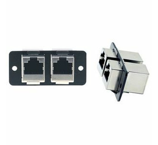 Dual RJ45 Ethernet Wallplate Insert