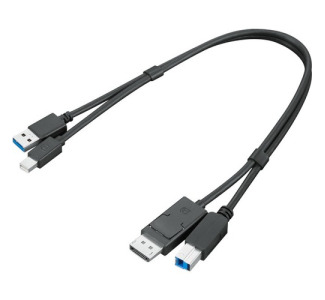 Lenovo ThinkStation mDP + USB-A 3.0 to DP + USB-B 3.0 Dual Head Cable