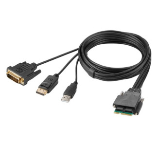 Belkin Modular DVI and DP Dual Head Host Cable 6 Feet