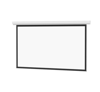 Wall- and Ceiling-Mounted Electric Screens
