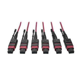 MTP/MPO Multimode Base-8 Trunk Cable, 24-Strand, 40/100 GbE, 40/100GBASE-SR4, OM4 Plenum-Rated (3xF/3xF), Push/Pull Tab, Magenta, 61 m (200 ft.)