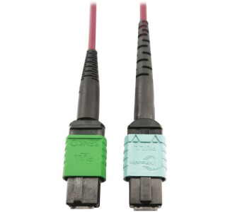 Tripp Lite Multimode Fiber Optic Cable 400G MTP/MPO-APC to 24F MTP/MPO-UPC F/F 3M