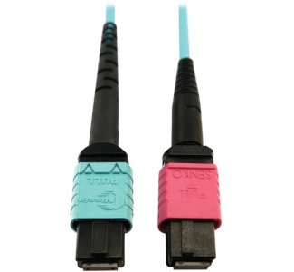 Tripp Lite Multimode Fiber Optic Cable 24F MTP/MPO-UPC to 16F MTP/MPO-UPC F/F 3M