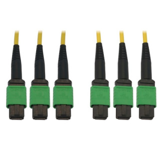 Tripp Lite Fiber Optic Cable 40/100G SMF 9/125 3x8F MTP/MPO-APC OS2 F/F 10M