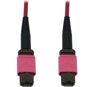 Tripp Lite 100G Multimode 50/125 OM4 Fiber Optic Cable (12F MTP/MPO-PC F/F) LSZH Magenta 20 m (65.6 ft.)