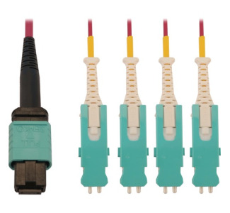 Tripp Lite 40/100/400G Multimode 50/125 OM4 Breakout Fiber Optic Cable (12F MTP/MPO-PC to 4x Duplex SN-PC F/M), LSZH, Magenta, 2 m (6.6 ft.)